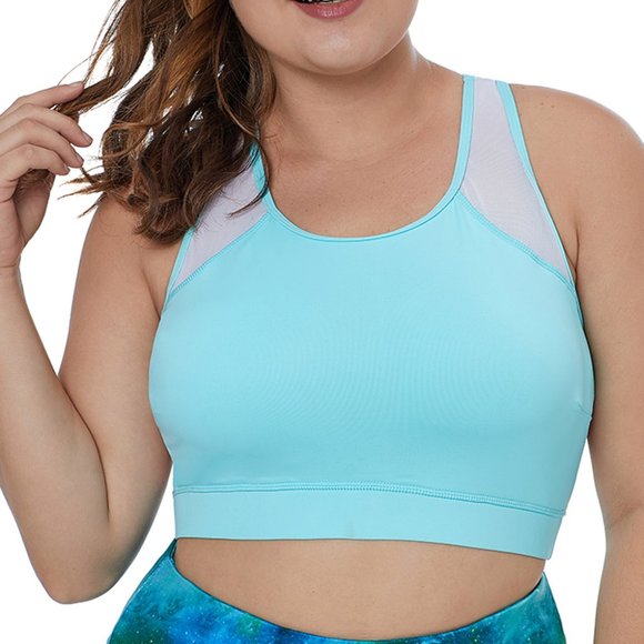 Light Blue Sheer Mesh Back Plus Size Sports Bra - Picture 3 of 5